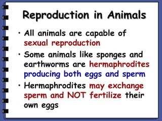 Reproduction in Animals
• All animals are capable of
sexual reproduction
• Some animals like sponges and
earthworms are hermaphrodites
producing both eggs and sperm
• Hermaphrodites may exchange
sperm and NOT fertilize their
own eggs

 