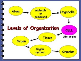 Atom

Molecule
or
compound

Levels of Organization
Organ

Tissue
Organ
system

Organelle

CELL
Life begins

Organism

 