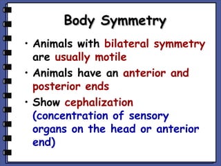 Body Symmetry
• Animals with bilateral symmetry
are usually motile
• Animals have an anterior and
posterior ends
• Show cephalization
(concentration of sensory
organs on the head or anterior
end)

 