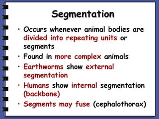 Segmentation
• Occurs whenever animal bodies are
divided into repeating units or
segments
• Found in more complex animals
• Earthworms show external
segmentation
• Humans show internal segmentation
(backbone)
• Segments may fuse (cephalothorax)

 