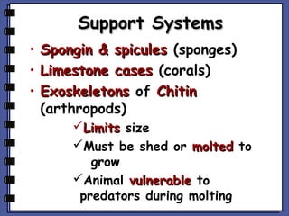 Support Systems
•
•
•

Spongin & spicules (sponges)
Limestone cases (corals)
Exoskeletons of Chitin
(arthropods)
Limits size
Must be shed or molted to
grow
Animal vulnerable to
predators during molting

 