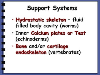 Support Systems
• Hydrostatic skeleton – fluid
filled body cavity (worms)
• Inner Calcium plates or Test
(echinoderms)
• Bone and/or cartilage
endoskeleton (vertebrates)

 