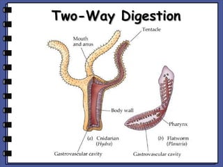 Two-Way Digestion

 