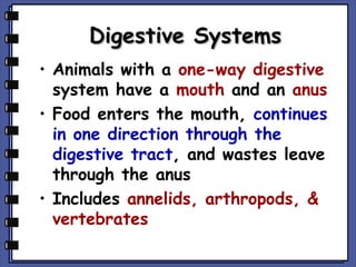 Digestive Systems
• Animals with a one-way digestive
system have a mouth and an anus
• Food enters the mouth, continues
in one direction through the
digestive tract, and wastes leave
through the anus
• Includes annelids, arthropods, &
vertebrates

 
