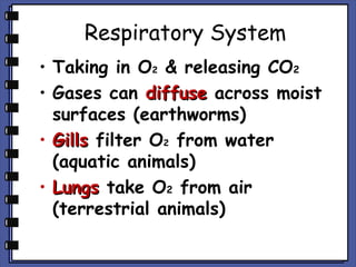 Respiratory System
• Taking in O2 & releasing CO2
• Gases can diffuse across moist
surfaces (earthworms)
• Gills filter O2 from water
(aquatic animals)
• Lungs take O2 from air
(terrestrial animals)

 