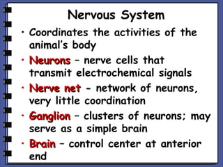 Nervous System
• Coordinates the activities of the
animal’s body
• Neurons – nerve cells that
transmit electrochemical signals
• Nerve net - network of neurons,
very little coordination
• Ganglion – clusters of neurons; may
serve as a simple brain
• Brain – control center at anterior
end

 