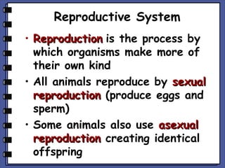 Reproductive System
• Reproduction is the process by
which organisms make more of
their own kind
• All animals reproduce by sexual
reproduction (produce eggs and
sperm)
• Some animals also use asexual
reproduction creating identical
offspring

 