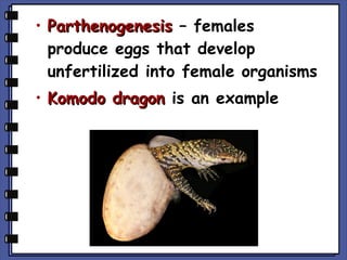 • Parthenogenesis – females
produce eggs that develop
unfertilized into female organisms
• Komodo dragon is an example

 