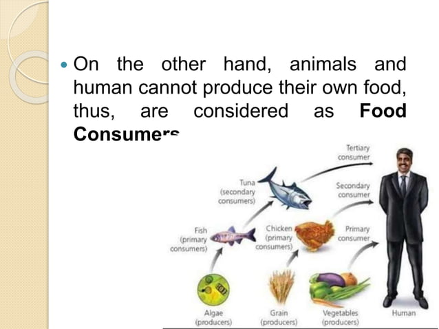 INTRODUCTION TO ANIMAL SCIENCE AS11_CAS 1A.pptx | Agriculture | Industries