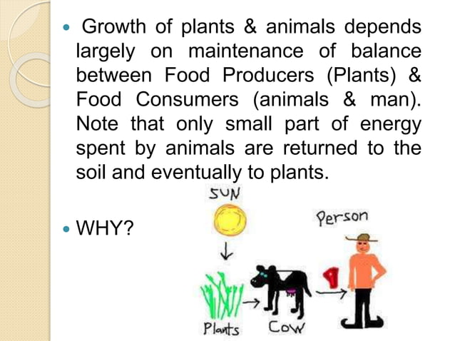 INTRODUCTION TO ANIMAL SCIENCE AS11_CAS 1A.pptx | Agriculture | Industries