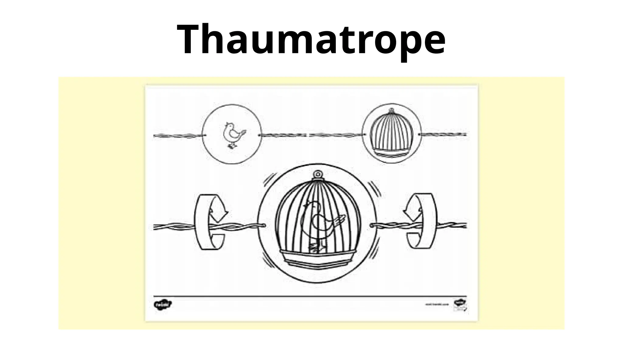 Thaumatrope
 