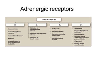 Introduction to ans | PPT