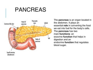 PANCREAS
The pancreas is an organ located in 
the abdomen. It plays an 
essential role in converting the food 
we eat into fuel for the body's cells. 
The pancreas has two 
main functions: an 
exocrine function that helps in 
digestion and an 
endocrine function that regulates 
blood sugar.
 