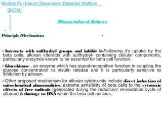 Models For Insulin Dependent Diabetes Mellitus    
[IDDM]
Alloxan induced diabetes
Principle/Mechanism -
Interacts with sulfhydryl groups and inhibit it- Following it’s uptake by the beta
cells, alloxan interacts with sulfhydryl- containing cellular components,
particularly enzymes known to be essential for beta cell function.
Glucokinase , an enzyme which has signal-recognition function in coupling the
glucose concentration to insulin release and it is particularly sensitive to
inhibition by alloxan.
Other proposed mechanism for alloxan cytotoxicity include direct induction of
mitochondrial abnormalities, extreme sensitivity of beta cells to the cytotoxic
effects of free radicals (generated during the reduction/ re-oxidation cycle of
alloxan) & damage to DNA within the beta cell nucleus.
 