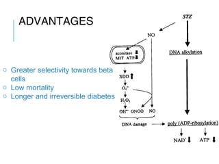 o Greater selectivity towards beta
cells
o Low mortality
o Longer and irreversible diabetes
ADVANTAGES
 