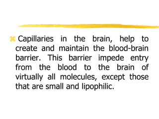  Capillaries in the brain, help to
create and maintain the blood-brain
barrier. This barrier impede entry
from the blood to the brain of
virtually all molecules, except those
that are small and lipophilic.
 