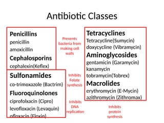 Microbial Connections: Understanding and Combating Antibiotic ...