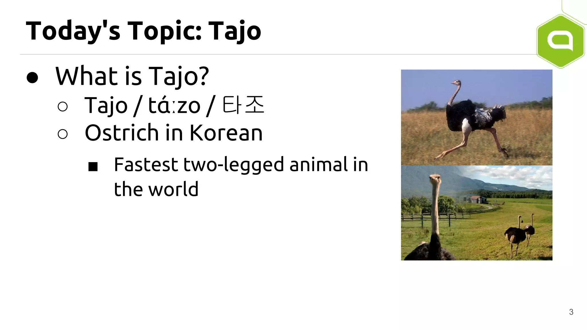 Today's Topic: Tajo
● What is Tajo?
○ Tajo / tάːzo / 타조
○ Ostrich in Korean
■ Fastest two-legged animal in
the world
3
 
