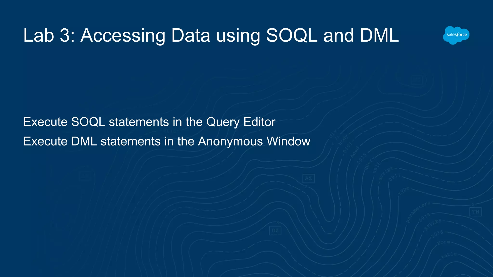 Lab 3: Accessing Data using SOQL and DML
Execute SOQL statements in the Query Editor
Execute DML statements in the Anonymous Window
 