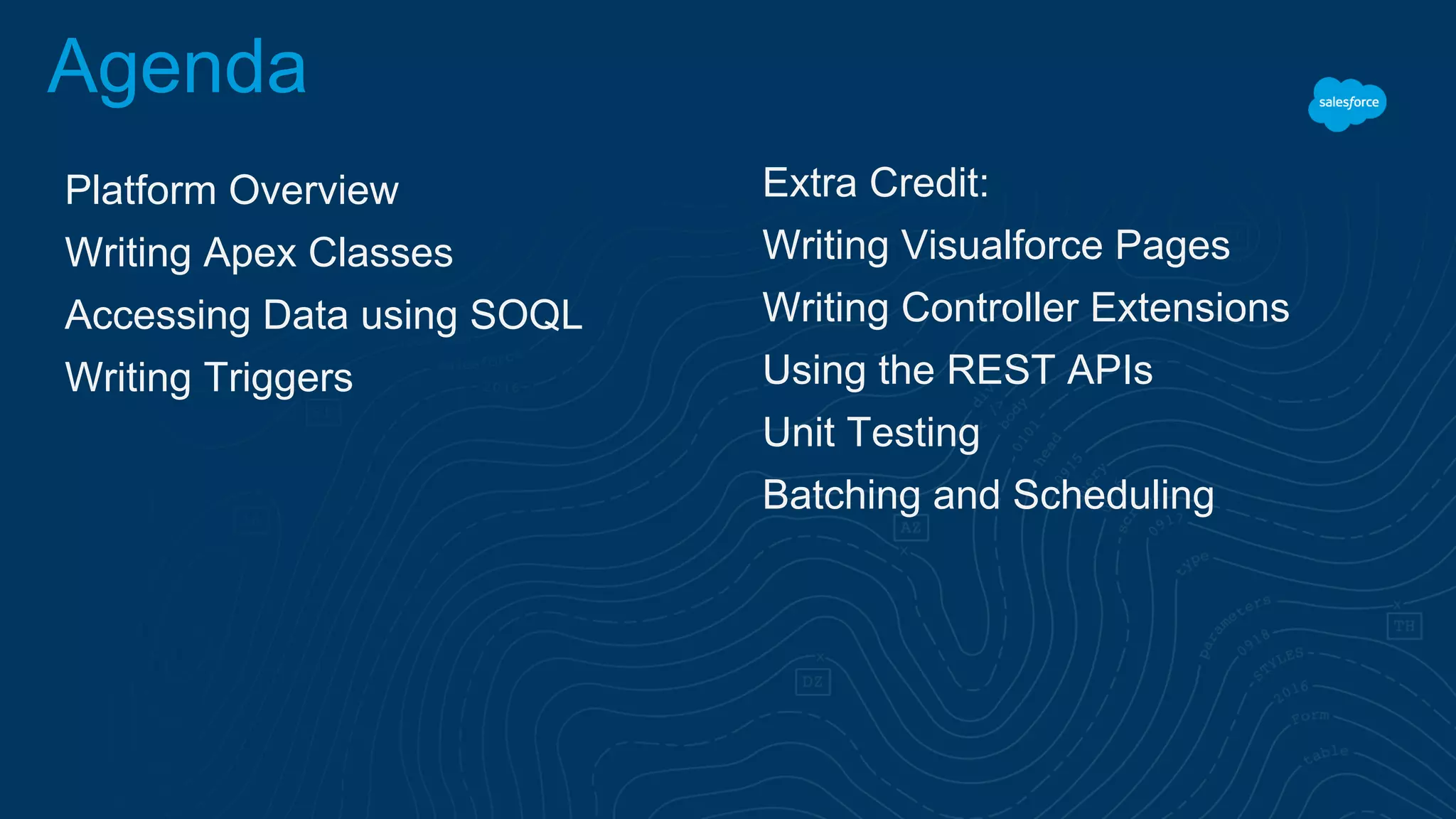 Agenda
Platform Overview
Writing Apex Classes
Accessing Data using SOQL
Writing Triggers
Extra Credit:
Writing Visualforce Pages
Writing Controller Extensions
Using the REST APIs
Unit Testing
Batching and Scheduling
 