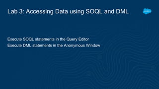 Lab 3: Accessing Data using SOQL and DML
Execute SOQL statements in the Query Editor
Execute DML statements in the Anonymous Window
 