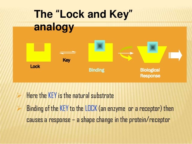 Introduction to a pharmaceutical product Introduction to a pharmaceutical product