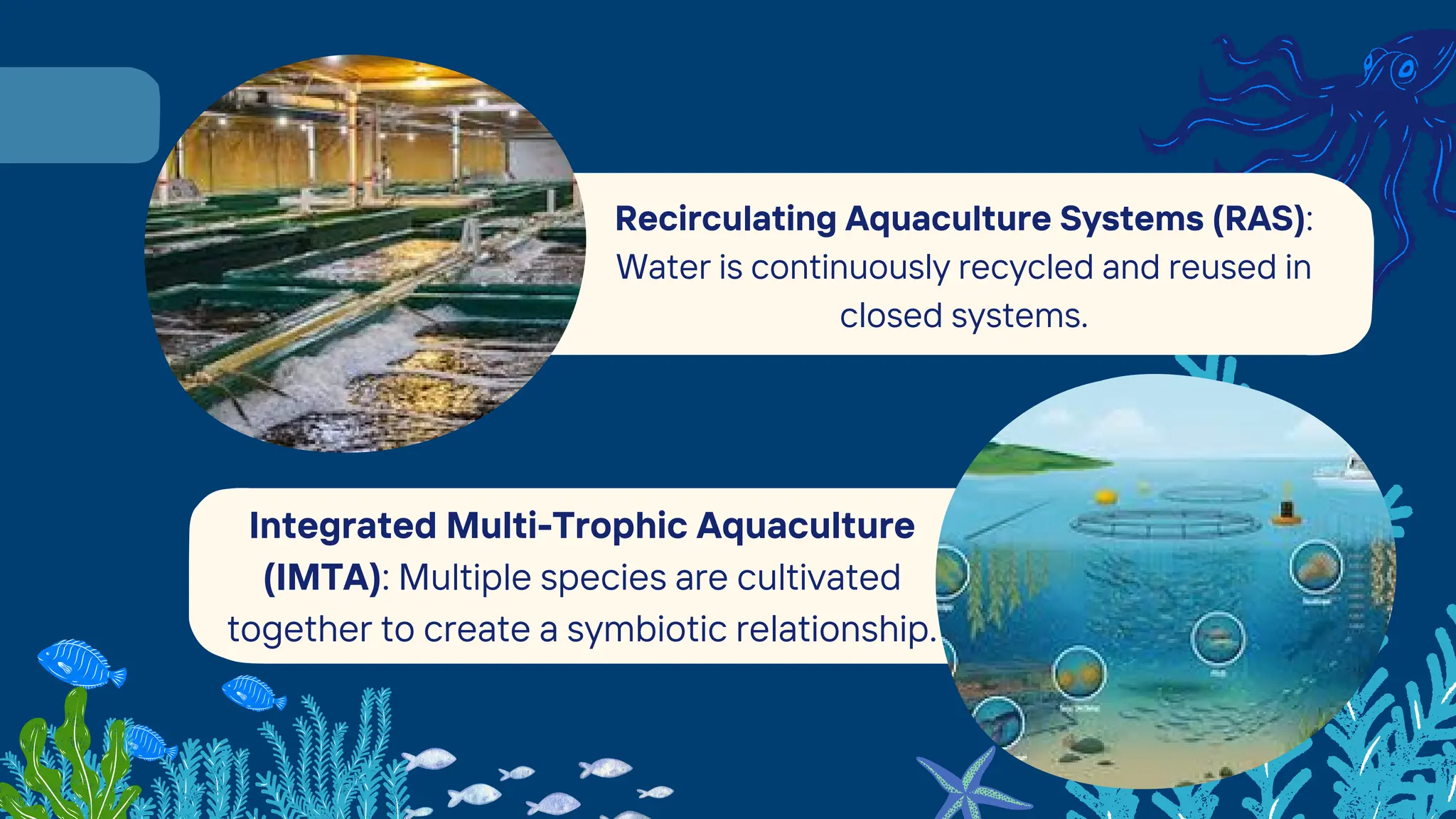Photo inspiration: Picture Idea: Introduction To Aquaculture Fish Farming And Fertilizers