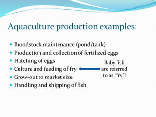 Aquaculture production examples:
 Broodstock maintenance (pond/tank)
 Production and collection of fertilized eggs
 Hatching of eggs
 Culture and feeding of fry
 Grow-out to market size
 Handling and shipping of fish
Baby fish
are referred
to as “fry”!
 