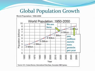 Global Population Growth
500
million
metric
tons
protein
per year
We are
here.
 