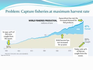 Problem: Capture fisheries at maximum harvest rate
Wild harvest has
not increased
for 30 years
Aquaculture has met the
increased demand for
fish products.
In 1950, 97% of
fish were
caught from
the ocean.
Today, only 50%
of fish are
caught from the
ocean.
Figure from: FAO 2016
 