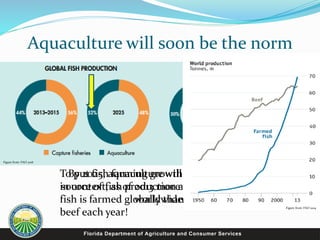 Aquaculture will soon be the norm
Figure from: FAO 2016
By 2025, aquaculture will be the primary
source of fish production and consumption
worldwide!
Figure from: FAO 2014
To put fish farming growth
in context, as of 2013 more
fish is farmed globally than
beef each year!
 