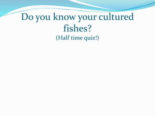 Do you know your cultured
fishes?
(Half time quiz!)
 