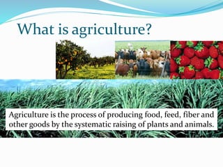 What is agriculture?
Agriculture is the process of producing food, feed, fiber and
other goods by the systematic raising of plants and animals.
 
