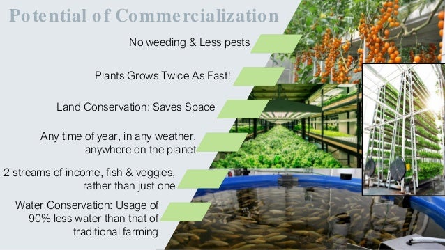 why is aquaponics better than traditional farming - aquaponic