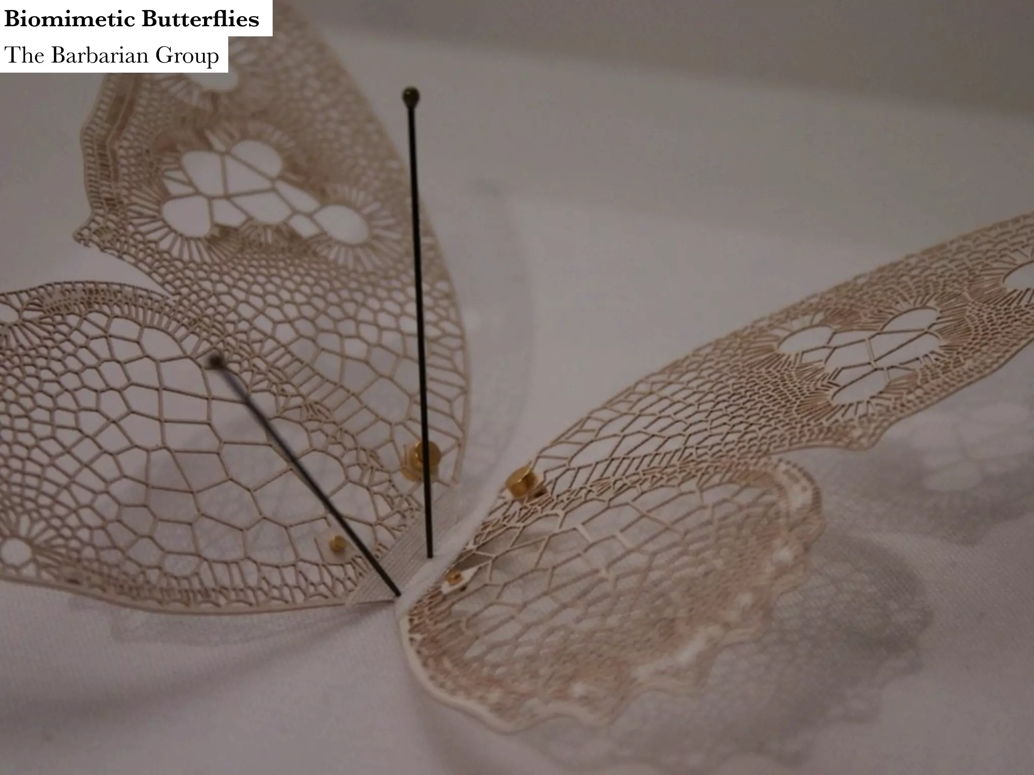 Biomimetic Butterﬂies The Barbarian Group 