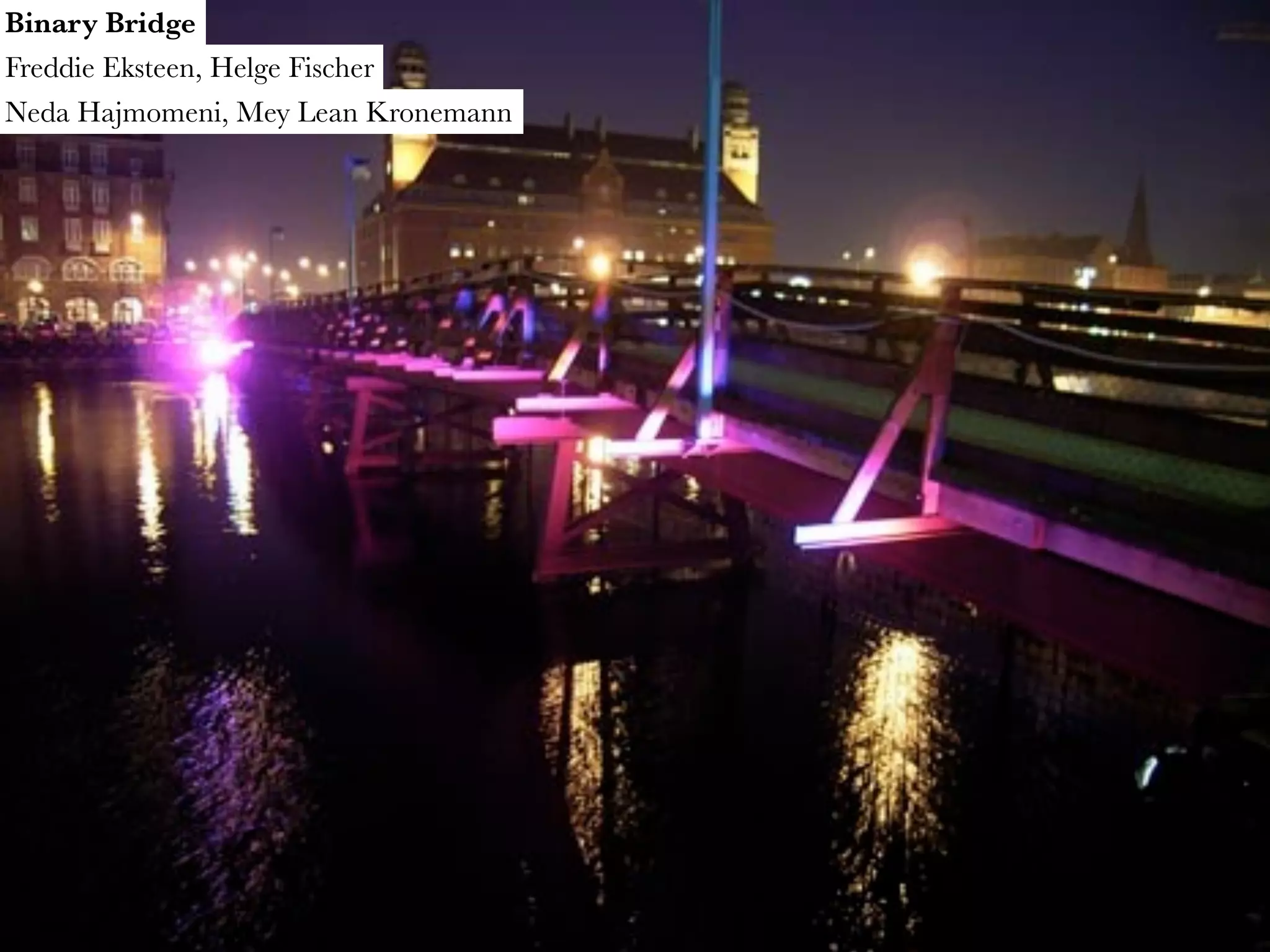 Binary Bridge Freddie Eksteen, Helge Fischer Neda Hajmomeni, Mey Lean Kronemann 