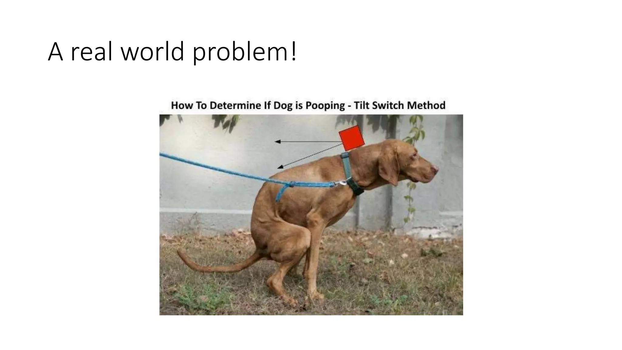 A real world problem! 