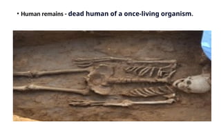 • Human remains - dead human of a once-living organism.
 