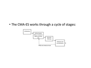• The CMA-ES works through a cycle of stages:
 