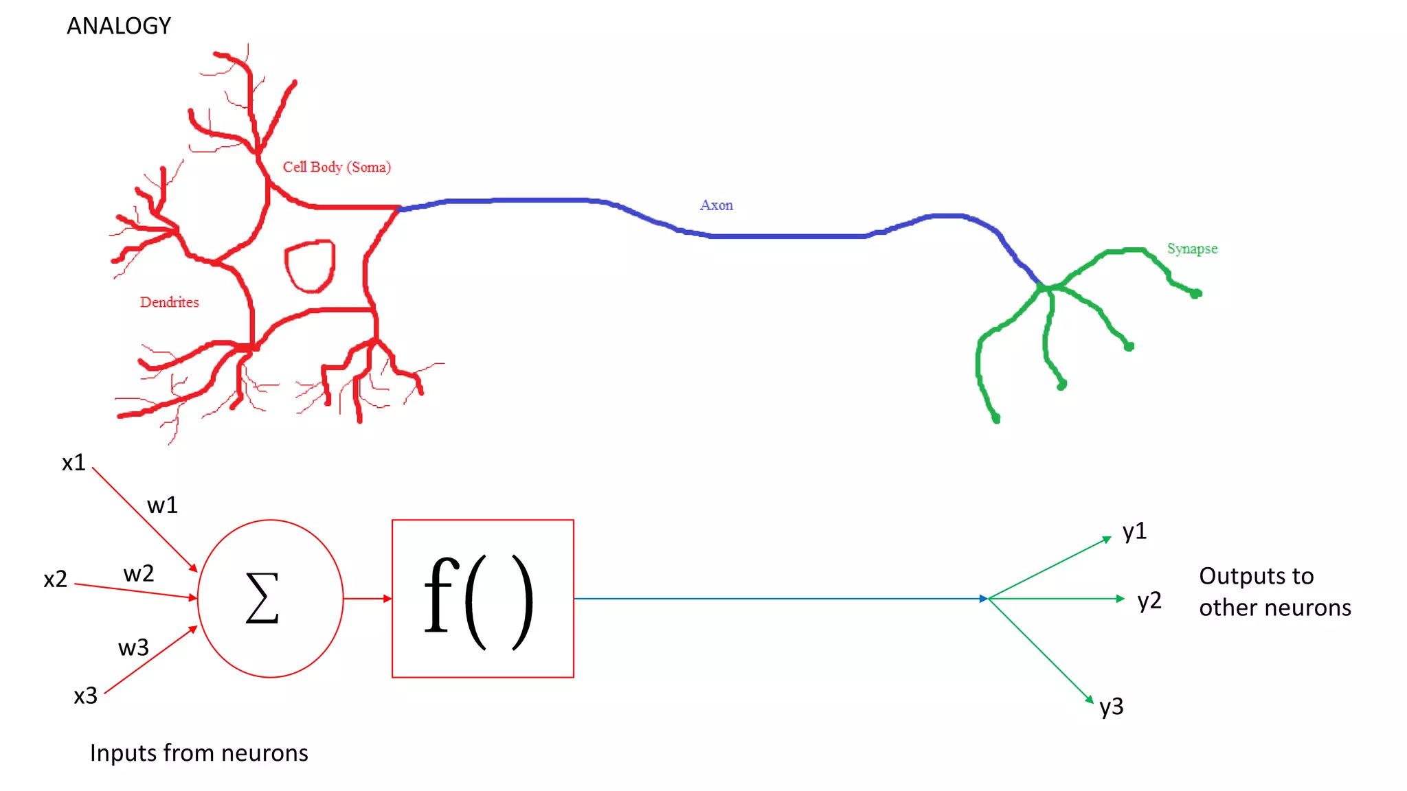 x1
x2
x3
w1
w2
w3
y1
y2
y3
Outputs to
other neurons
Inputs from neurons
ANALOGY