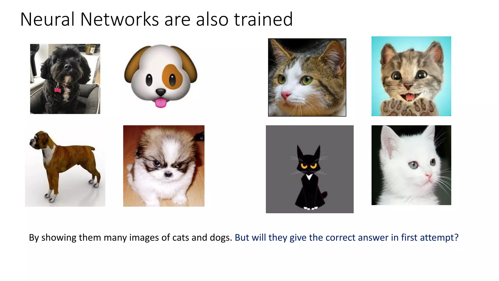 Neural Networks are also trained
By showing them many images of cats and dogs. But will they give the correct answer in first attempt?