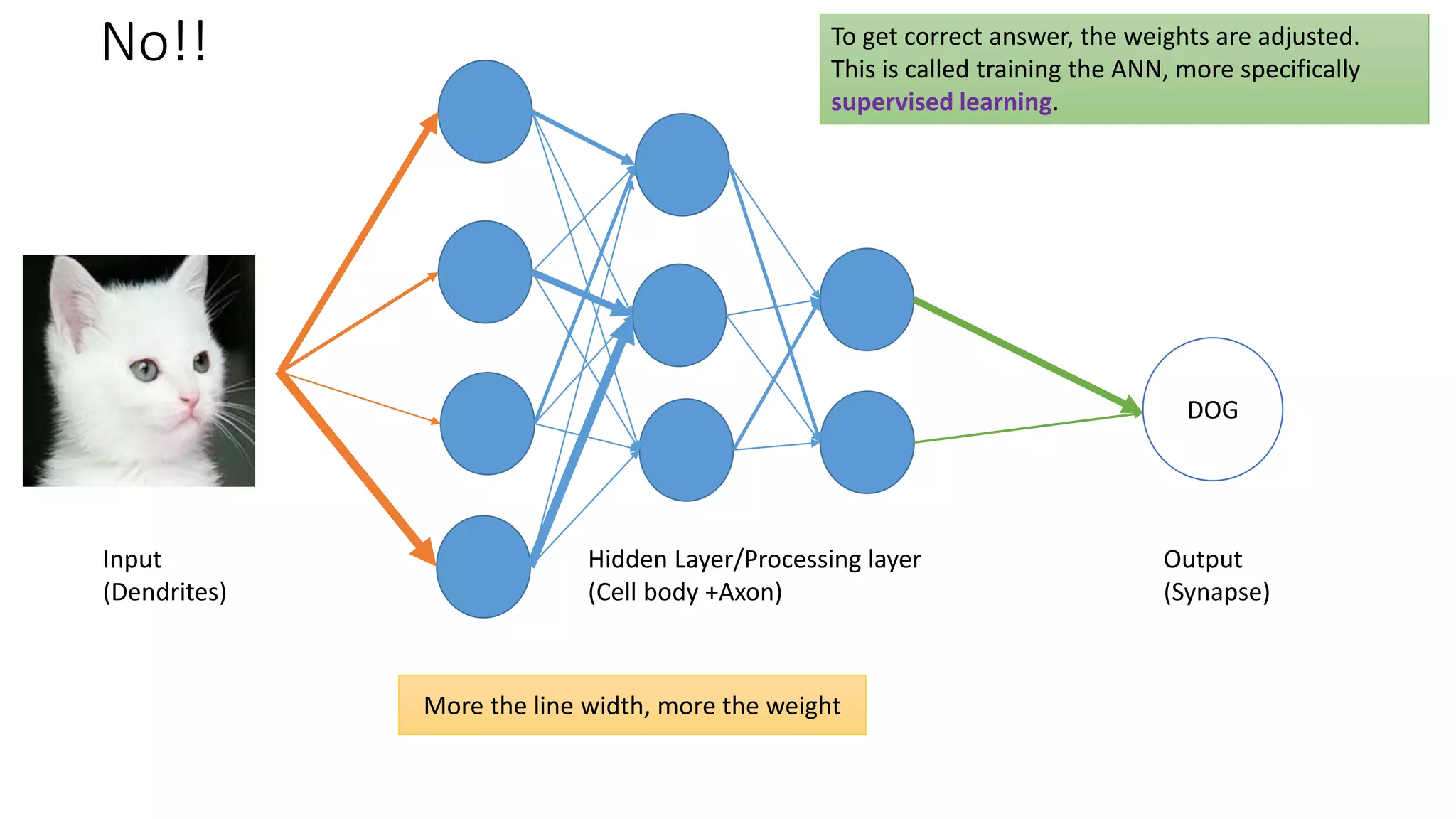 No!!
Input
(Dendrites)
Output
(Synapse)
Hidden Layer/Processing layer
(Cell body +Axon)
More the line width, more the weight
To get correct answer, the weights are adjusted.
This is called training the ANN, more specifically
supervised learning.
DOG