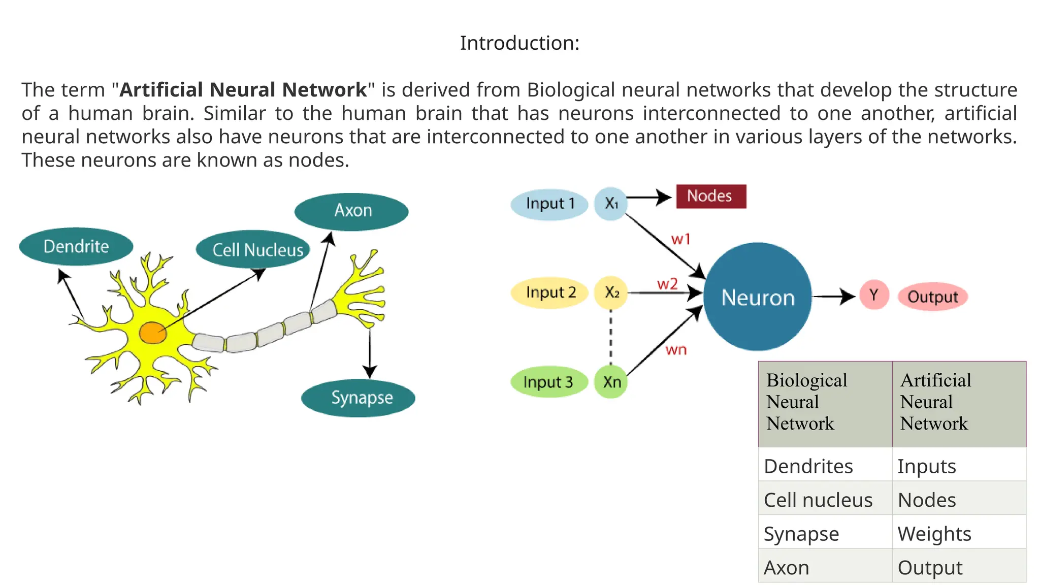 Introduction:
The term "Artificial Neural Network" is derived from Biological neural networks that develop the structure
of a human brain. Similar to the human brain that has neurons interconnected to one another, artificial
neural networks also have neurons that are interconnected to one another in various layers of the networks.
These neurons are known as nodes.
Biological
Neural
Network
Artificial
Neural
Network
Dendrites Inputs
Cell nucleus Nodes
Synapse Weights
Axon Output
 