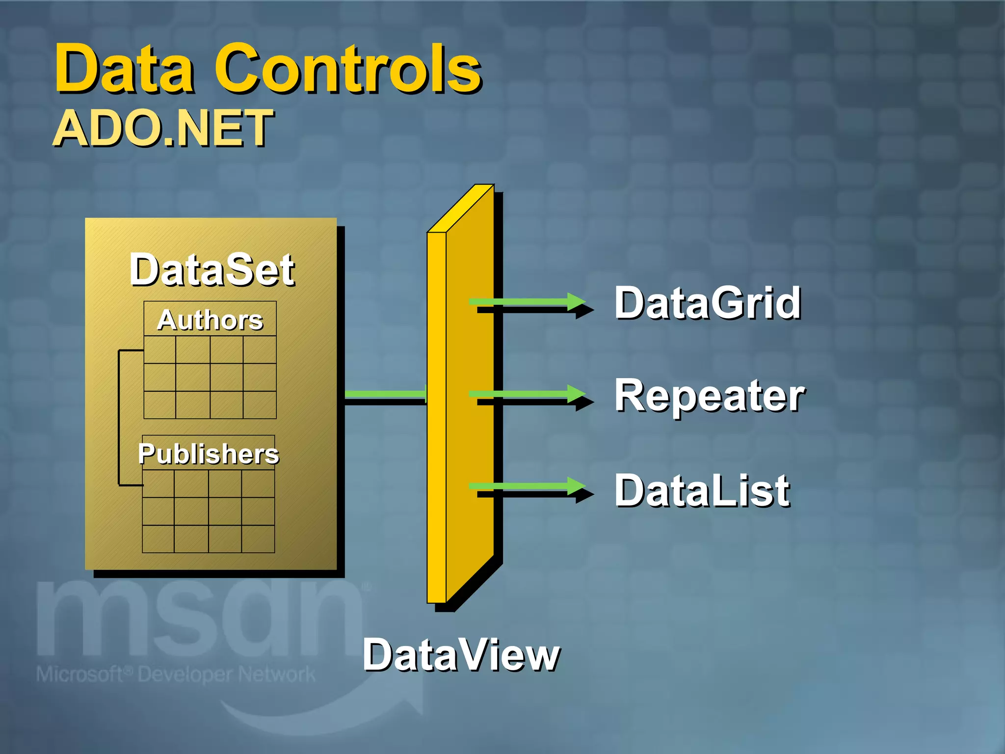 Data Controls ADO.NET DataSet Authors Publishers DataView DataGrid DataList Repeater 