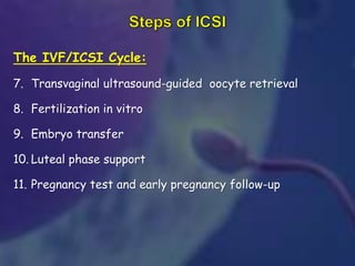 The IVF/ICSI Cycle:
7. Transvaginal ultrasound-guided oocyte retrieval
8. Fertilization in vitro
9. Embryo transfer
10. Luteal phase support
11. Pregnancy test and early pregnancy follow-up
 