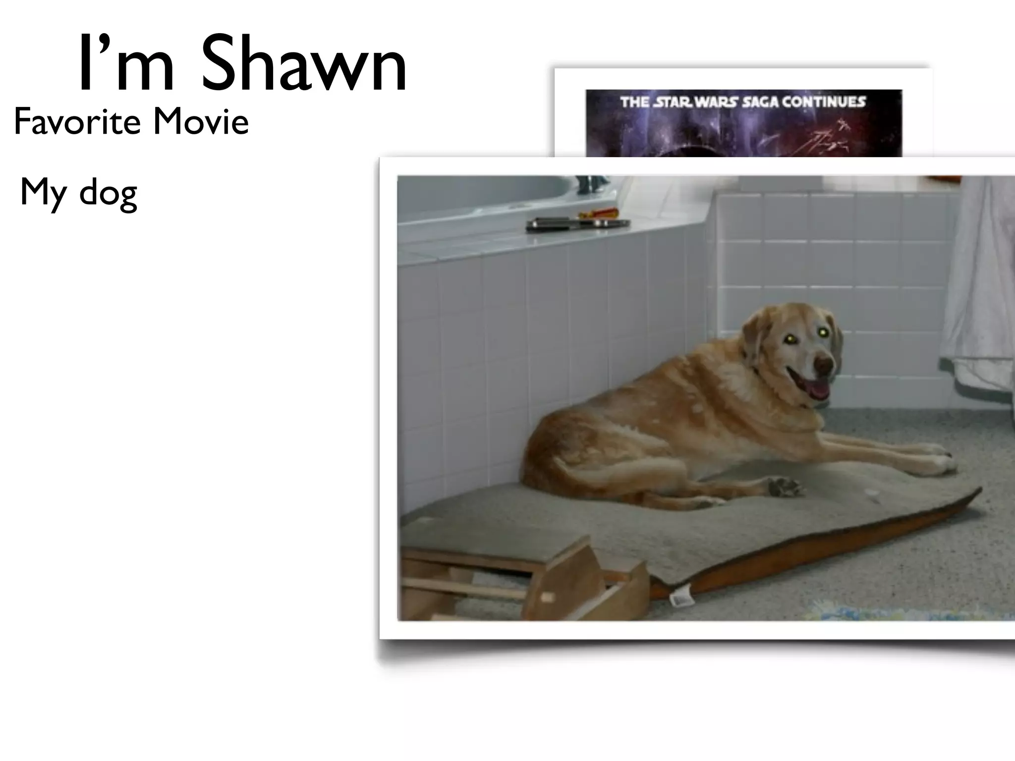 I’m Shawn
Favorite Movie
My dog
 