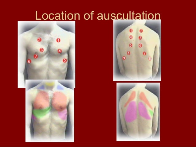 lung auscultation
