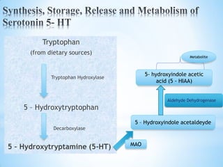 Tryptophan
(from dietary sources)
Tryptophan Hydroxylase
5 – Hydroxytryptophan
Decarboxylase
5 – Hydroxytryptamine (5-HT) MAO
5 – Hydroxyindole acetaldeyde
5- hydroxyindole acetic
acid (5 - HIAA)
Aldehyde Dehydrogenase
Metabolite
 