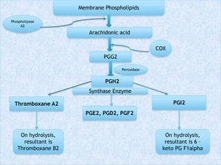 Membrane Phospholipids
Arachidonic acid
Phospholipase
A2
PGG2
COX
Peroxidase
PGH2
Thromboxane A2
PGE2, PGD2, PGF2
PGI2
Synthase Enzyme
On hydrolysis,
resultant is
Thromboxane B2
On hydrolysis,
resultant is 6 –
keto PG F1alpha
 