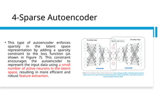 Introduction to Autoencoders: Types and Applications | PPTX